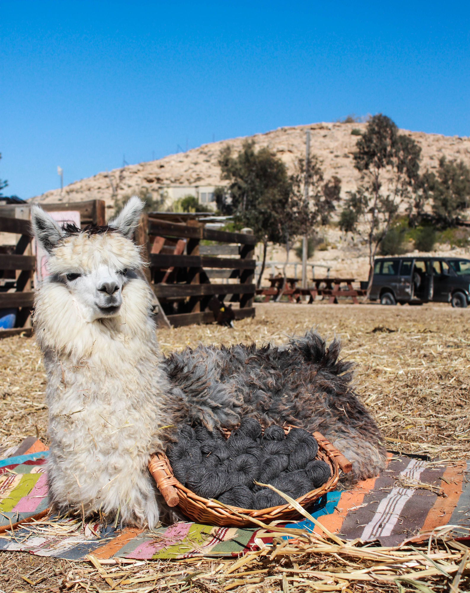 דוללה לסריגה אפור כהה – תמונה 2