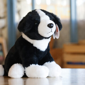 ג'ון - בובת בורדר קולי