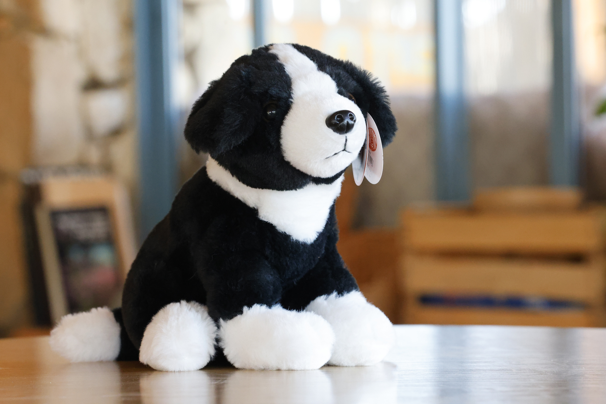 ג'ון - בובת בורדר קולי