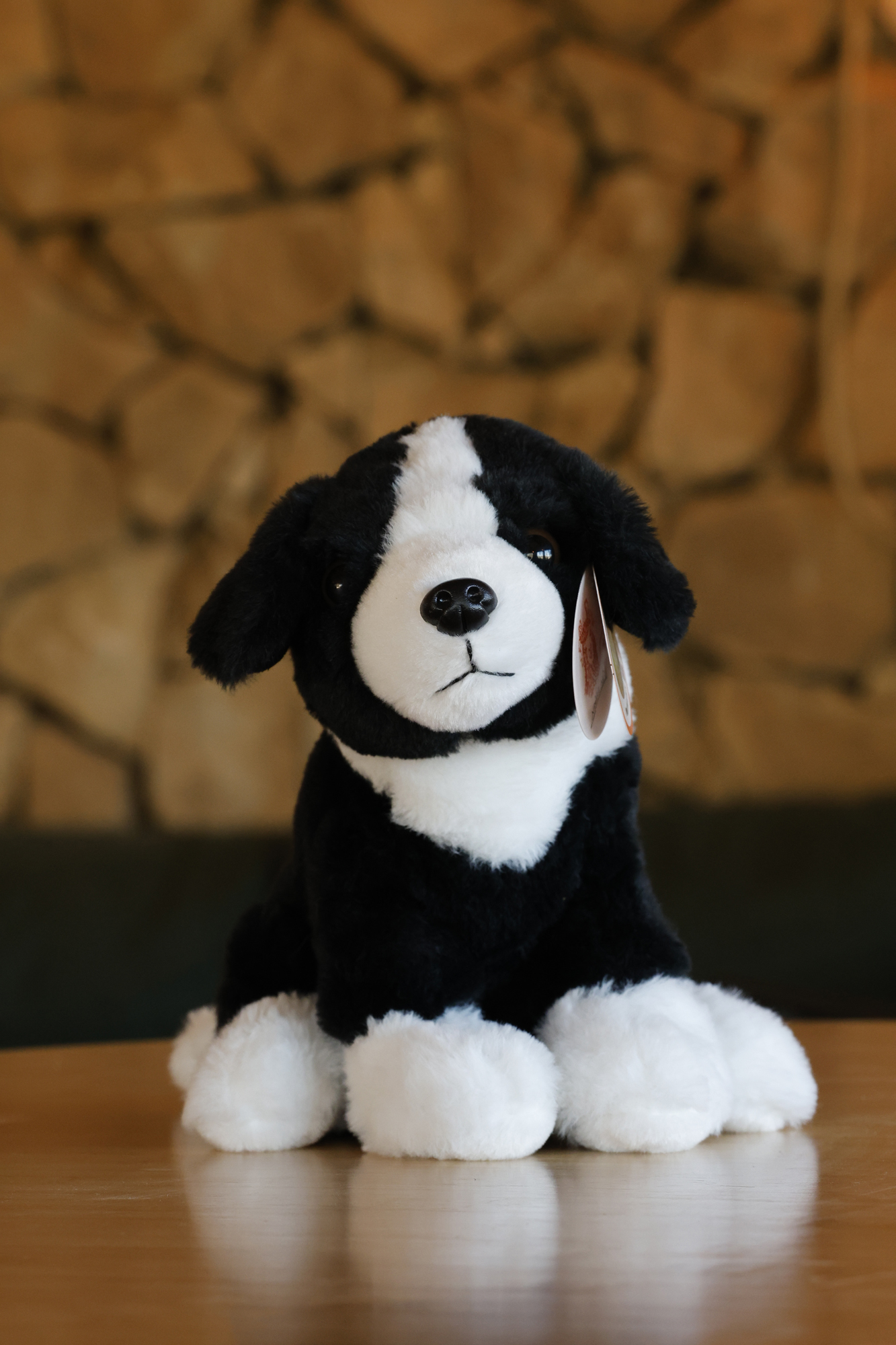 ג'ון - בובת בורדר קולי – תמונה 3