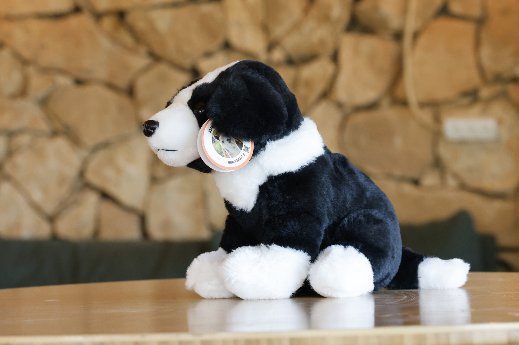 ג'ון - בובת בורדר קולי – תמונה 4