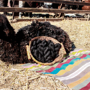 דוללה לסריגה שחור